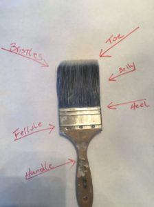 Parts of a brush. handle, ferrule, heel, belly, toe.