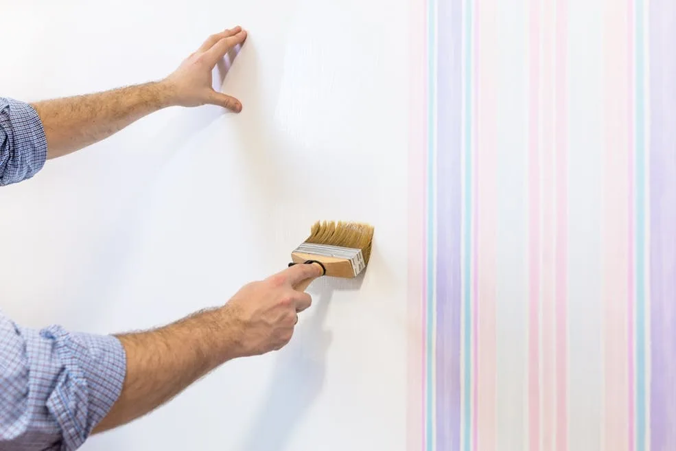 Painter